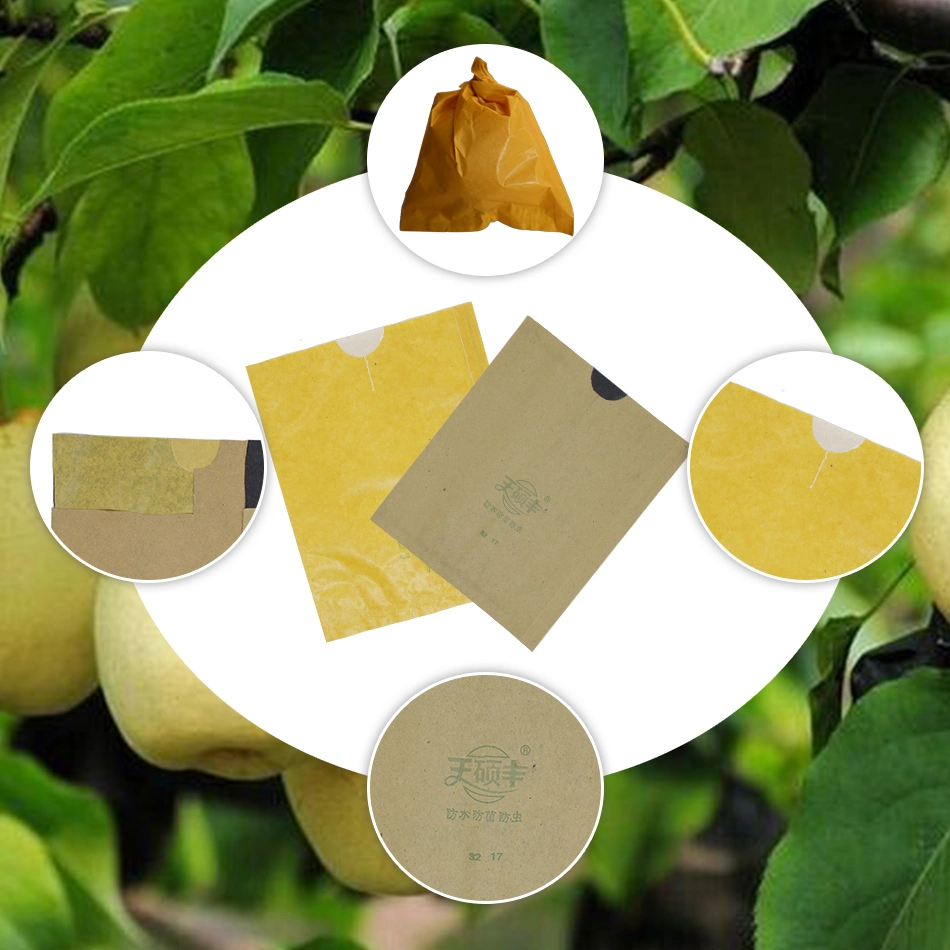 Yan Tai Mango Covering Bags Wax Paper Bag